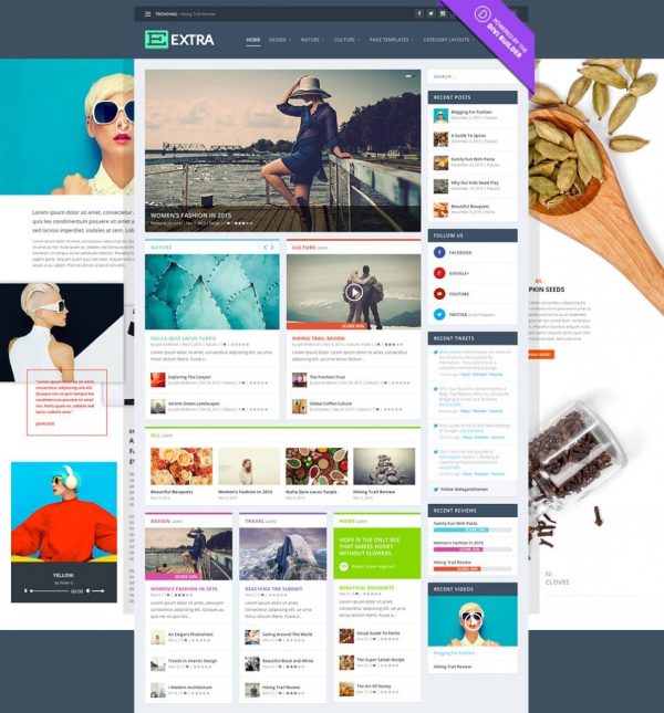 Elegant Themes Extra WordPress Theme - Image 1