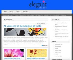 Elegant themes simplism wordpress theme v5110 gplpixel.jpg