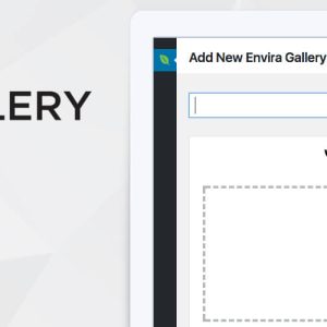 Envira Gallery - Premium Wp Gallery Plugin