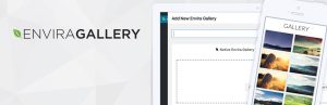 Envira gallery wordpress plugin pro v1100 gplpixel.jpg
