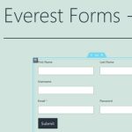 Everest Forms – Style Customizer