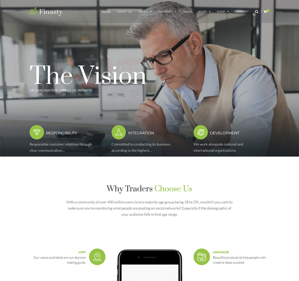 Finasty - Efficient Business Services WordPress Theme - Image 1