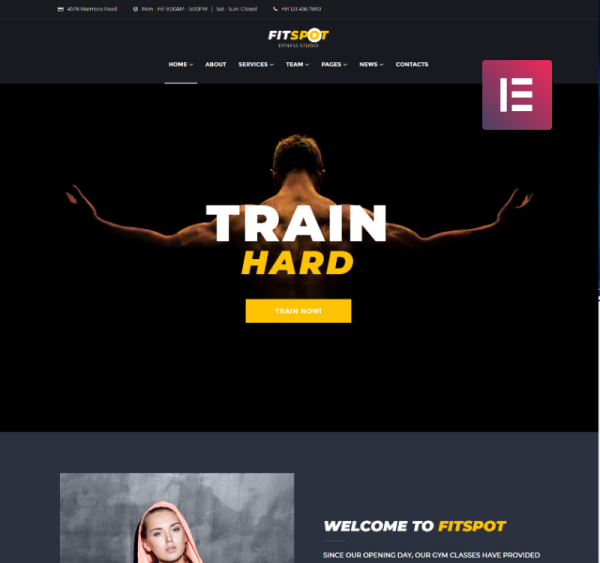 FitSpot - Fitness Studio WordPress Elementor Theme - Image 1