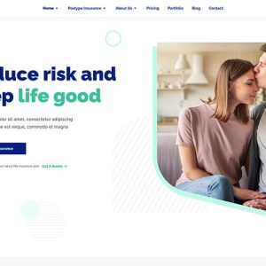 Grabyinsur - Insurance Company Wordpress Theme