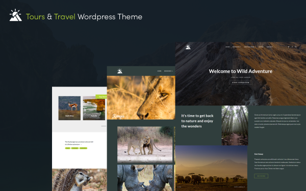 Gravity Traveler Wordpress Theme - Image 1