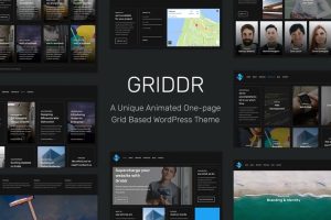 Griddr animated grid creative wordpress theme v104 gplpixel.jpg