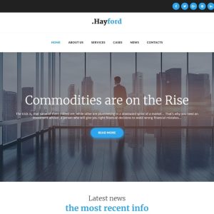 Hayford - Investment Consulting Services Responsive WordPress Theme
