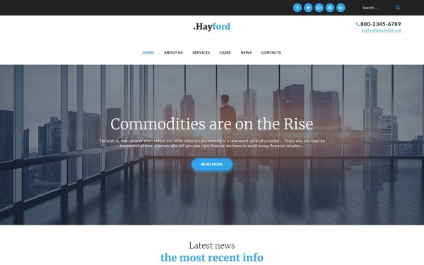 Hayford - Investment Consulting Services Responsive WordPress Theme - Image 1