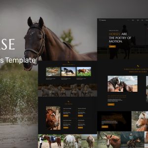 Hoorse - Horse Riding School, Horse Racing And Equestrian Center WordPress Elementor Theme