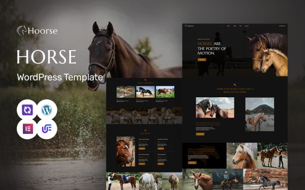 Hoorse - Horse Riding School, Horse Racing And Equestrian Center WordPress Elementor Theme - Image 1