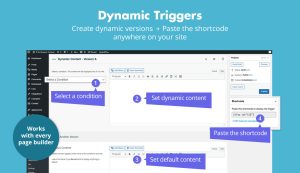 If so v19 dynamic content wordpress plugin gplpixel.jpg