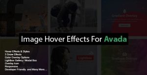 Image hover effects for avada builder v108 gplpixel.jpg