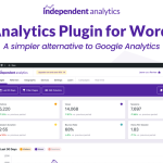 Independent Analytics Pro