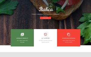 Indian restaurant responsive wordpress theme.jpg