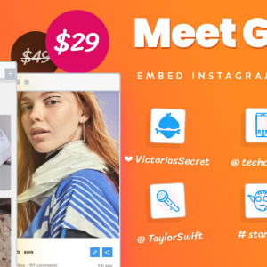 Instagram Feed Gallery Grace for WordPress