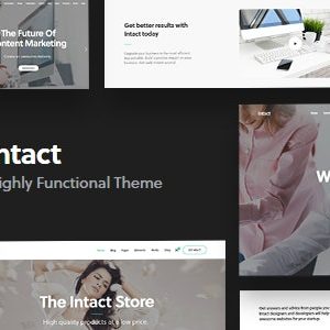 Intact – Multi-Purpose WordPress Theme