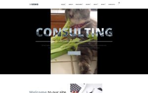 Invenio classy financial advisor wordpress theme.jpg
