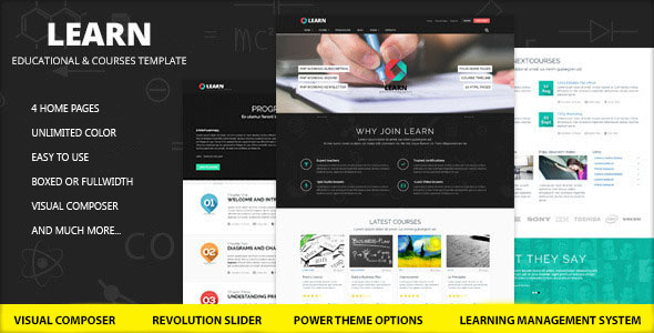 learn-education-elearning-wordpress-theme-v61-gplpixel.jpg Learn - Education, eLearning WordPress Theme - Image 1