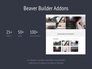 Livemesh addons for beaver builder pro v261 gplpixel.jpg