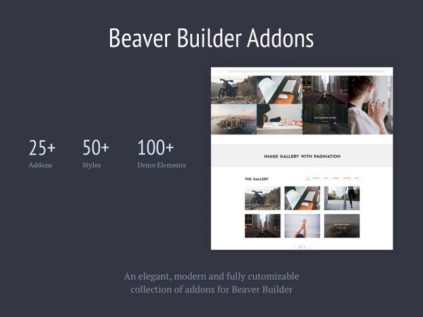 Livemeshs for Beaver Builder Pro - Image 1