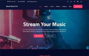 Marsh music pro elementor based music wordpress theme.jpg