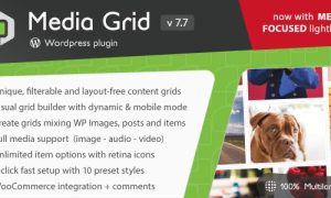 Media grid wordpress responsive portfolio plugin v820 nulled gplpixel.jpg