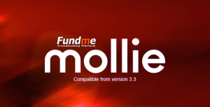 Mollie payment gateway for fundme codermarket.png