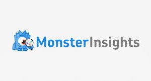 Monsterinsights - Google Analytics Plugin For Wp