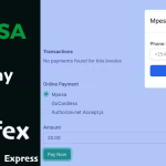 Mpesa Gateway - Perfex CRM module