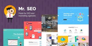 Mr seo social media marketing agency theme v20 gplpixel.jpeg