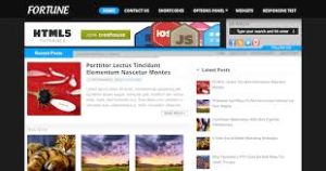 Mythemeshop fortune wordpress theme v1010 gplpixel.jpg