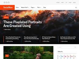 Mythemeshop socialnow wordpress theme v1213 gplpixel.jpg