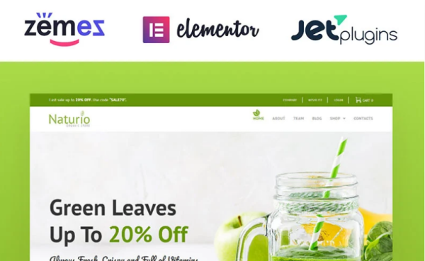 Naturio Food Store Template WooCommerce Theme - Image 1