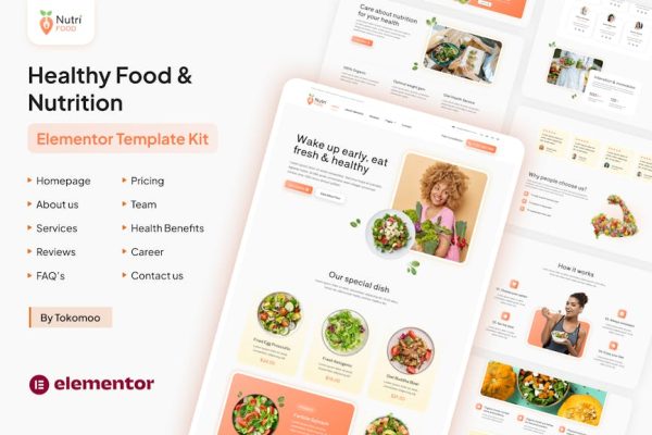 Nutri Food - Healthy Food & Nutrition Elementor Pro Template Kit - Image 1