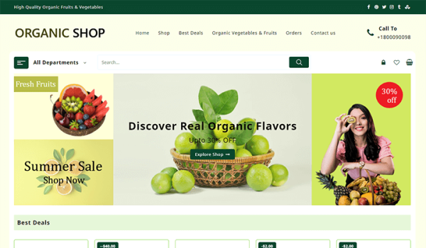 Organic Shop – Responsive WooCommerce Theme - Image 1