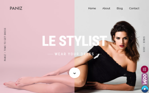 Paniz fashion and apparel wordpress elementor theme.png