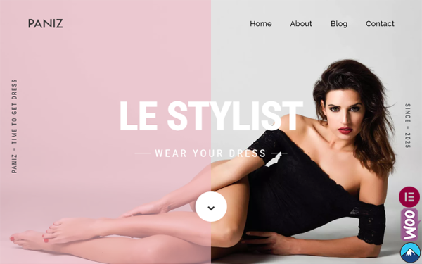 Paniz - Fashion and Apparel WordPress Elementor Theme - Image 1