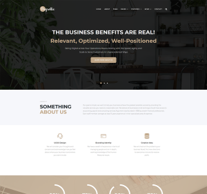 Payrollix internet business accounting wordpress theme.png