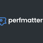 Perfmatters - Speed Up Your Wordpress Site