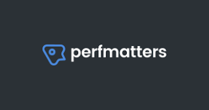 Perfmatters speed up your wordpress site v231 nulled gplpixel.png