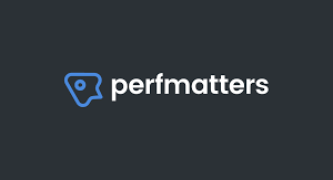 Perfmatters - Speed Up Your Wordpress Site