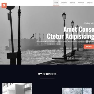 Personalus - Web Designer Multipurpose Creative Elementor WordPress Theme