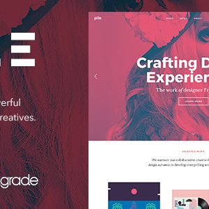 PILE - An Uncoventional WordPress Portfolio Theme