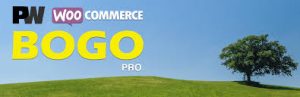 Pimwick woocommerce bogo pro v2174 gplpixel.jpg