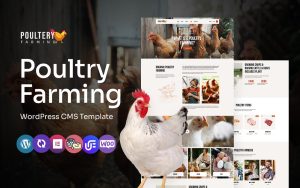 Poultery poultry care and farming multipurpose wordpress elementor theme.jpg