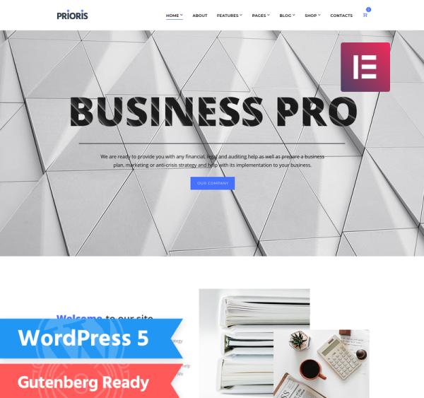 Prioris - Consulting Agency WordPress Elementor Theme - Image 1