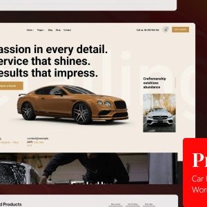 ProAuto - Car Detailing, Service & Shop