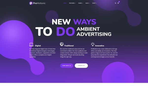 ProMotionic - Promotion Agency WordPress Theme - Image 1