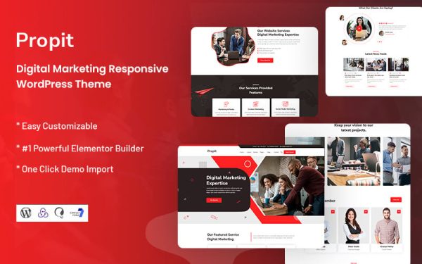 Propit - Digital Marketing WordPress Theme - Image 1