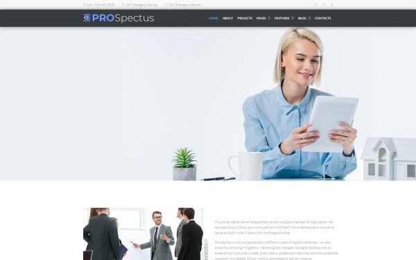 Prospectus - Advertising Portfolio WordPress Theme - Image 1